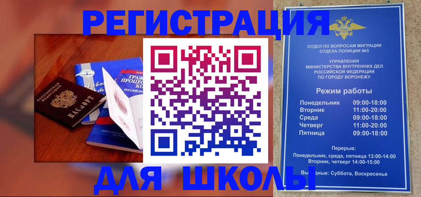 прописка для работы в Вязьме